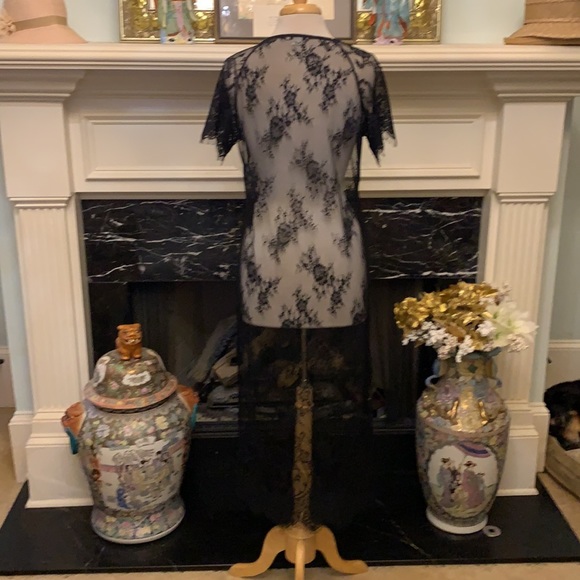 Beautiful sheer black lace over dress - Picture 5 of 6